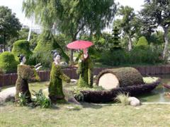 Topiary Photos